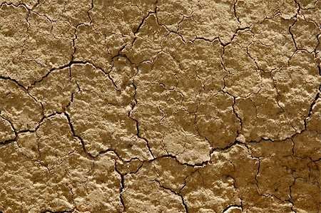 simsearch:400-06327934,k - Closeup of lines in dry earth Stockbilder - Microstock & Abonnement, Bildnummer: 400-05739451