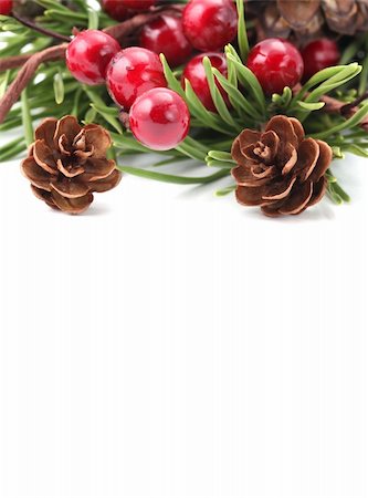 Christmas border with cones, berries and pine branches isolated on white background. Shallow dof Stock Photo - Budget Royalty-Free & Subscription, Code: 400-05739828