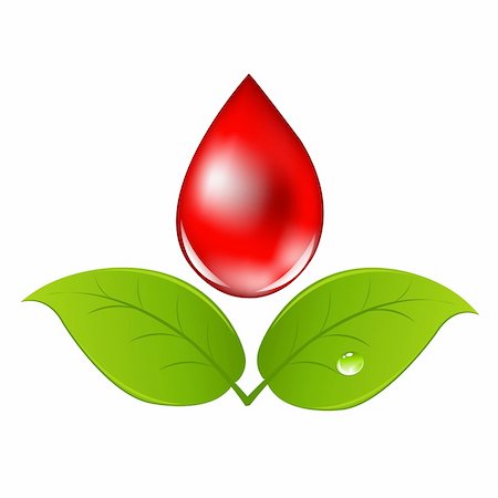 Blood Drop With Leafs, Isolated On White Background, Vector Illustration Stock Photo - Budget Royalty-Free & Subscription, Code: 400-05730110