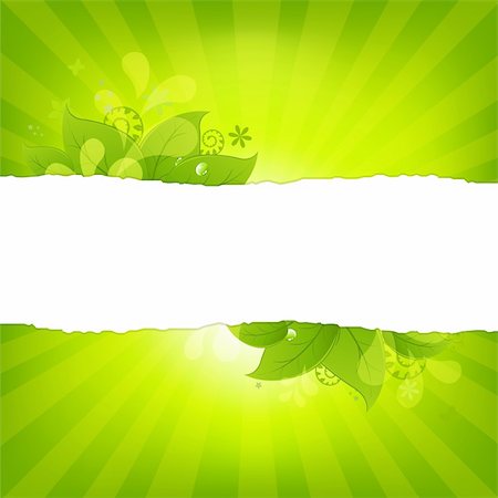 simsearch:400-04869731,k - Natural Background With Leaves And Sunburst, Vector Illustration Foto de stock - Royalty-Free Super Valor e Assinatura, Número: 400-05730112