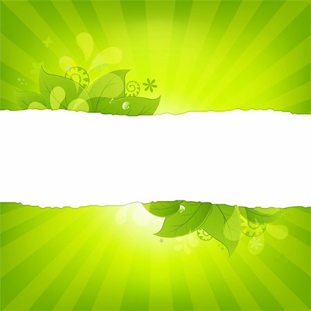 simsearch:400-04324218,k - Natural Background With Leaves And Sunburst, Vector Illustration Photographie de stock - Aubaine LD & Abonnement, Code: 400-05730112