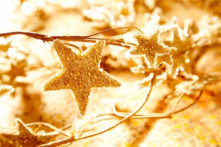 christmas golden stars symbols growing from branch Stock Photo - Budget Royalty-Free & Subscription, Code: 400-05730420