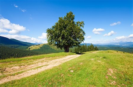 simsearch:400-05291390,k - Summer mountain landscape with rural road and lonely tree Stock Photo - Budget Royalty-Free & Subscription, Code: 400-05730583