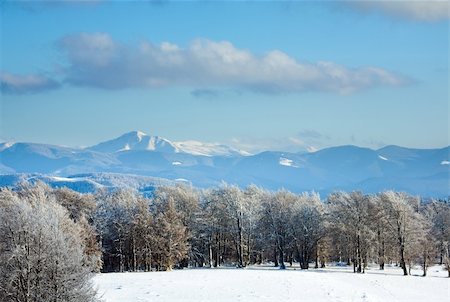 simsearch:400-05719597,k - October mountain beech forest edge and first winter snow (Goverla Mount in far, Ukraine) Stock Photo - Budget Royalty-Free & Subscription, Code: 400-05730595