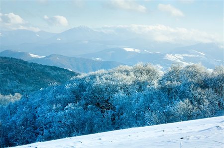 simsearch:400-08401989,k - First winter snow and autumn mountain beech forest. Foto de stock - Super Valor sin royalties y Suscripción, Código: 400-05730592