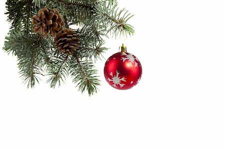 single christmas ball ornament - Picture of spruce twigs decorated with a  ball Stock Photo - Budget Royalty-Free & Subscription, Code: 400-05730632