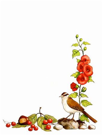 A half border drawn freehand in color pencil, with a bird, some berries, leaves, flowers, and chestnuts. Stock Photo - Budget Royalty-Free & Subscription, Code: 400-05730720