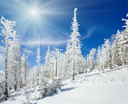 simsearch:400-04319458,k - winter snow covered fir trees on mountainside on blue sky with sunshine background Stock Photo - Budget Royalty-Free & Subscription, Code: 400-05731004