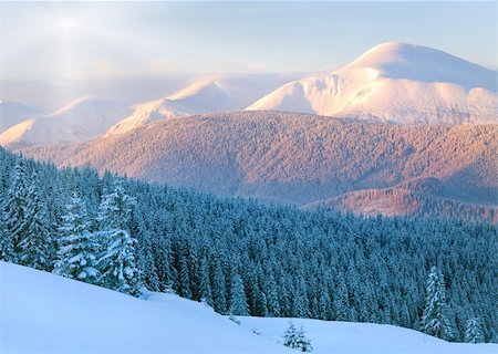 simsearch:400-06861143,k - Sunrise and winter rime and snow covered fir trees on mountainside. View from Kukol Mount.  (Carpathian Mountains, Ukraine) Foto de stock - Super Valor sin royalties y Suscripción, Código: 400-05731001