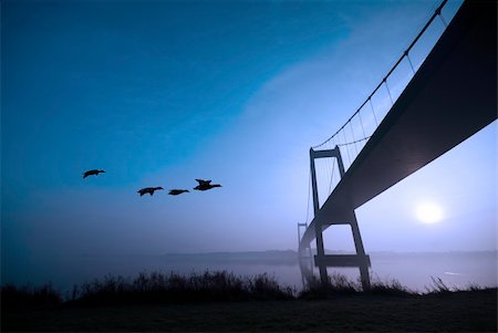 denmark bridge - Flying ducks and Little Belt Bridge a blue sunrise morning. Stock Photo - Budget Royalty-Free & Subscription, Code: 400-05731555