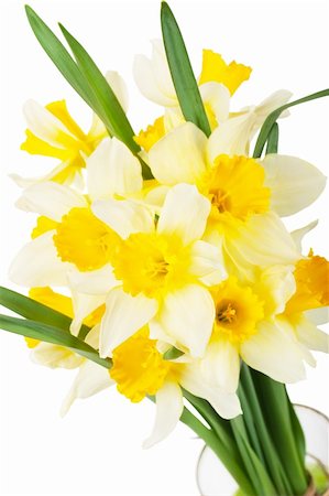 easter lily background - A bouquet of narcissuses in a glass with water isolated over white Stock Photo - Budget Royalty-Free & Subscription, Code: 400-05731631