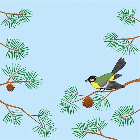 pine tree one not snow not people - Background, bird titmouse sitting on pine branch against blue sky. Vector Stock Photo - Budget Royalty-Free & Subscription, Code: 400-05732182