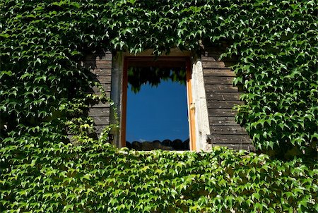 The Window on the Facade of a Wooden House Decorated with Wild Vine, City Saou, France Stock Photo - Budget Royalty-Free & Subscription, Code: 400-05732261