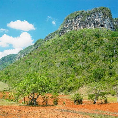 Vinales Valley, Pinar del Rio Province, Cuba Foto de stock - Super Valor sin royalties y Suscripción, Código: 400-05732761