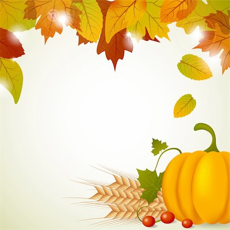 Vector pumpkin and leaves Stock Photo - Budget Royalty-Free & Subscription, Code: 400-05733454