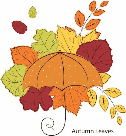 simsearch:400-07818732,k - Vector autumn leave and umbrella Stock Photo - Budget Royalty-Free & Subscription, Code: 400-05733465