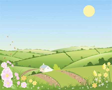 field of daffodil pictures - an illustration of a country cottage in a spring landscape with rolling hills hedgerows and flowers under a blue sky Photographie de stock - Aubaine LD & Abonnement, Code: 400-05733497