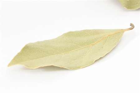 scattered spices - Close up of single piece of bay leaf spice on white background Stock Photo - Budget Royalty-Free & Subscription, Code: 400-05733916