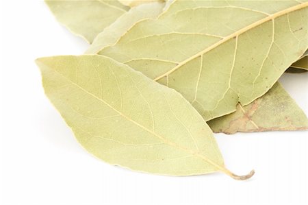 scattered spices - Close up of several leaves of bay leaf spice on white background Stock Photo - Budget Royalty-Free & Subscription, Code: 400-05733912