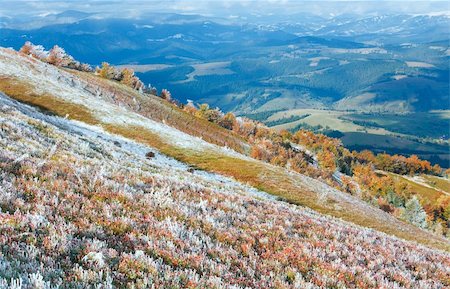 simsearch:400-05713513,k - October Carpathian mountain Borghava plateau with first winter snow and autumn colourful bilberry bushes Stock Photo - Budget Royalty-Free & Subscription, Code: 400-05745591