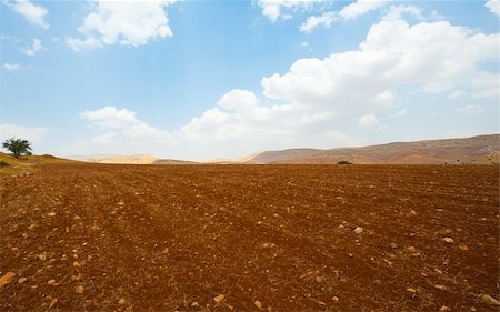 Plowed Field Against the Rocky Hills of Samaria, Israel Foto de stock - Super Valor sin royalties y Suscripción, Código: 400-05745760