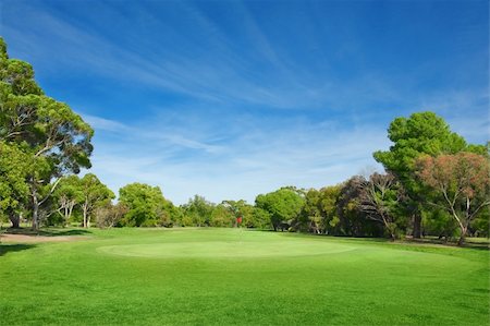 landscape of a green field with trees and  bright blue sky Foto de stock - Royalty-Free Super Valor e Assinatura, Número: 400-05747748