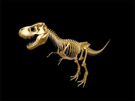 petrified (fossilized) - golden  tyrannosaurus Dinosaur skeleton isolated on dark background Stock Photo - Budget Royalty-Free & Subscription, Code: 400-05748526