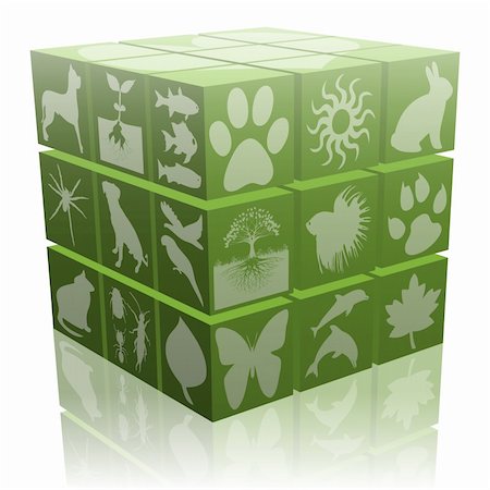 Illustration of ecological dice with symbols of plants, insects and animals. Stock Photo - Budget Royalty-Free & Subscription, Code: 400-05749140