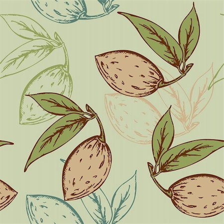 fruit artworks pattern - vector seamless pattern with almond on a green background Stock Photo - Budget Royalty-Free & Subscription, Code: 400-05740432