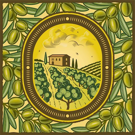 simsearch:400-05751294,k - Retro olive grove in woodcut style. Vector illustration with clipping mask. Foto de stock - Super Valor sin royalties y Suscripción, Código: 400-05740548