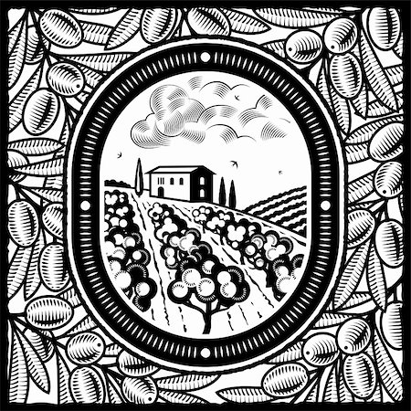 simsearch:400-05751294,k - Retro olive grove in woodcut style. Black and white vector illustration with clipping mask. Foto de stock - Super Valor sin royalties y Suscripción, Código: 400-05740549