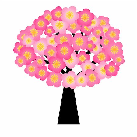 simsearch:400-06071657,k - Spring Cherry Blossom Flowers Blooming on Tree Illustration Isolated on White Background Foto de stock - Super Valor sin royalties y Suscripción, Código: 400-05740553