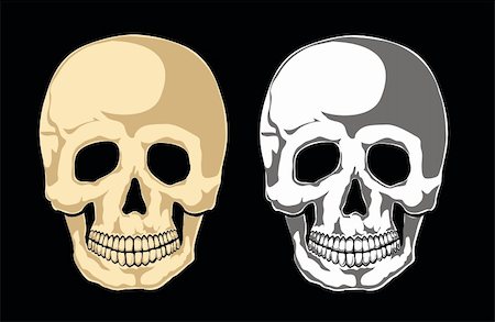simsearch:600-03017684,k - Human skull on black. Separate layers Stock Photo - Budget Royalty-Free & Subscription, Code: 400-05741213