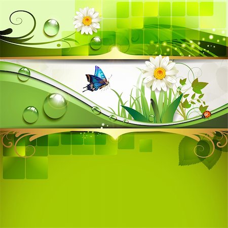 Green background with daisy and drops of water Stock Photo - Budget Royalty-Free & Subscription, Code: 400-05742210