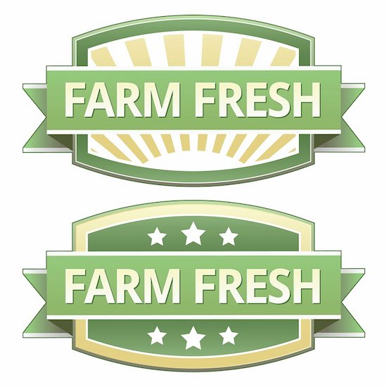 Farm fresh food label, badge or seal with green and yellow color in vector Stock Photo - Royalty-Free, Artist: lhfgraphics, Image code: 400-05742376