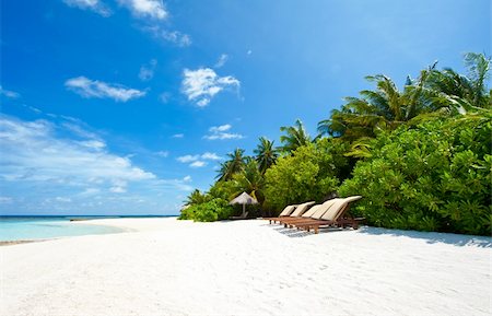 simsearch:400-04284844,k - Beautiful tropical paradise in Maldives with palms hanging over the white and turquoise sea Stock Photo - Budget Royalty-Free & Subscription, Code: 400-05742449