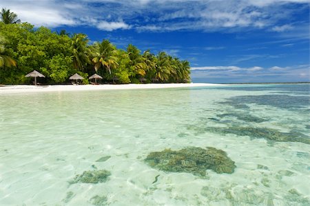 simsearch:400-05211125,k - Beautiful tropical paradise in Maldives with coco palms hanging over the white and turquoise sea Foto de stock - Super Valor sin royalties y Suscripción, Código: 400-05742455