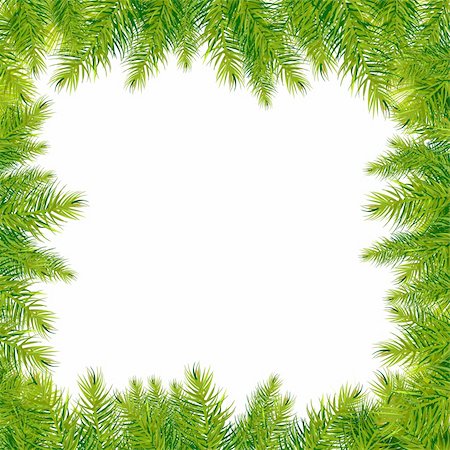 simsearch:400-07114074,k - Christmas Tree Branches Border, Isolated On White Background, Vector Illustration Stock Photo - Budget Royalty-Free & Subscription, Code: 400-05742468