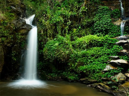 The beauty of a waterfall and green leaves of a rainforest Fotografie stock - Microstock e Abbonamento, Codice: 400-05743904