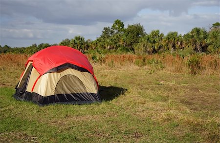 Campground along the Florida Trail, Big Cypress National Preserve Photographie de stock - Aubaine LD & Abonnement, Code: 400-05743941