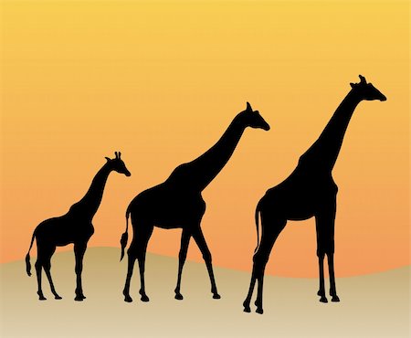 Collection of giraffes silhouette - vector Stock Photo - Budget Royalty-Free & Subscription, Code: 400-05754015