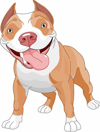 dog ear cartoon - Pitbull, standing in front of white background Stock Photo - Budget Royalty-Free & Subscription, Code: 400-05754371