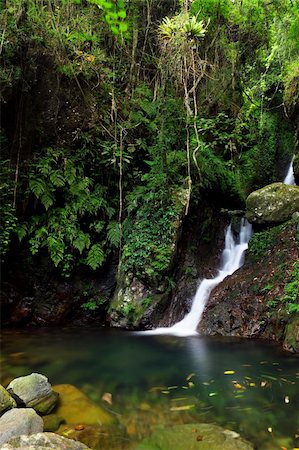 simsearch:400-05273059,k - waterfall in forest Stock Photo - Budget Royalty-Free & Subscription, Code: 400-05754796
