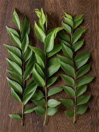 close up of fresh indian curry leaves Stock Photo - Budget Royalty-Free & Subscription, Code: 400-05750551