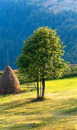 simsearch:400-05730615,k - Summer mountain landscape with haystack and lonely tree Fotografie stock - Microstock e Abbonamento, Codice: 400-05750745