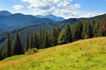 simsearch:400-05737744,k - Summer mountain landscape with flowering grassland in front Stock Photo - Budget Royalty-Free & Subscription, Code: 400-05750742