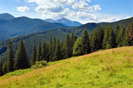 simsearch:400-06063989,k - Summer mountain landscape with flowering grassland in front Foto de stock - Royalty-Free Super Valor e Assinatura, Número: 400-05750742