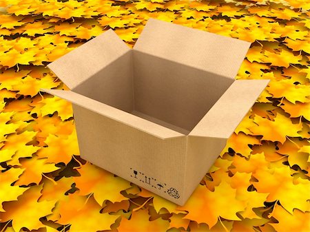 simsearch:400-05730843,k - 3D Illustration Opened cardboard box on Orange Leaves Stock Photo - Budget Royalty-Free & Subscription, Code: 400-05751326