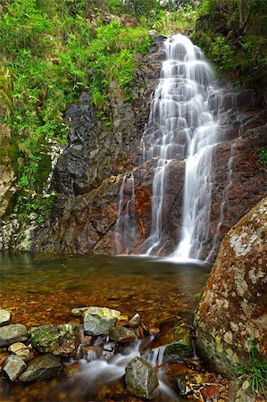 simsearch:400-04240598,k - Waterfall in forest Foto de stock - Royalty-Free Super Valor e Assinatura, Número: 400-05751784