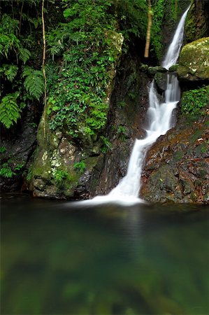 simsearch:400-04240598,k - Waterfall in forest Foto de stock - Royalty-Free Super Valor e Assinatura, Número: 400-05751788